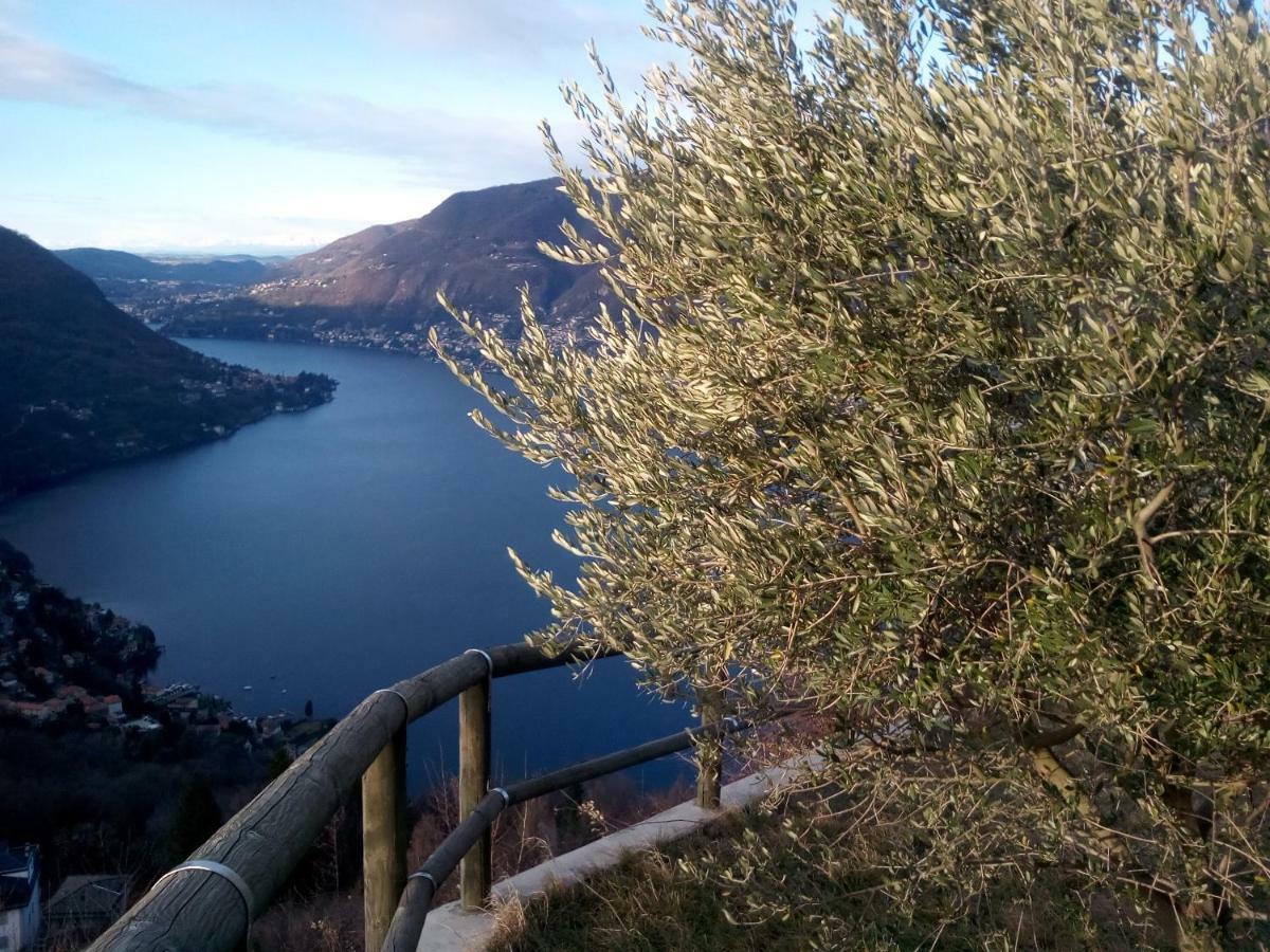 Casa Filomena Bed & Breakfast Faggeto Lario Exterior photo